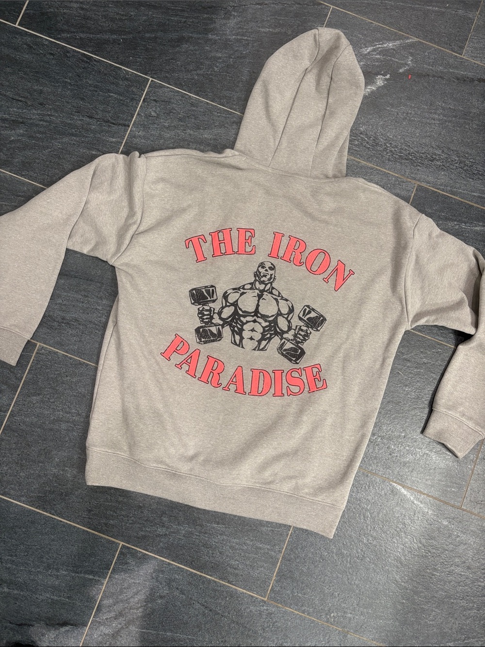 The Iron Paradise Men's Hoodie  Gray/taupe with neon pink accents